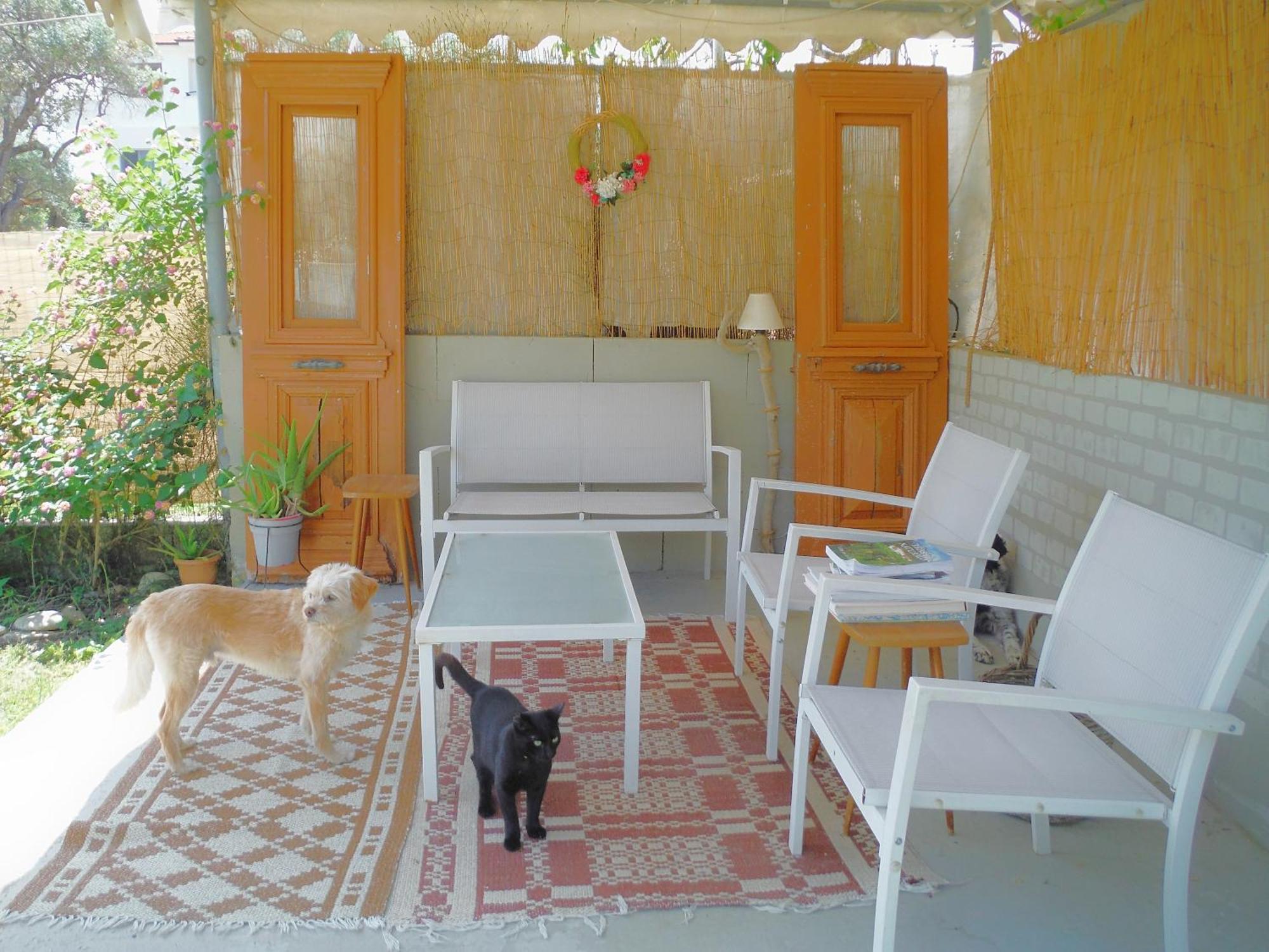 Port Rooms Limenas  Dış mekan fotoğraf